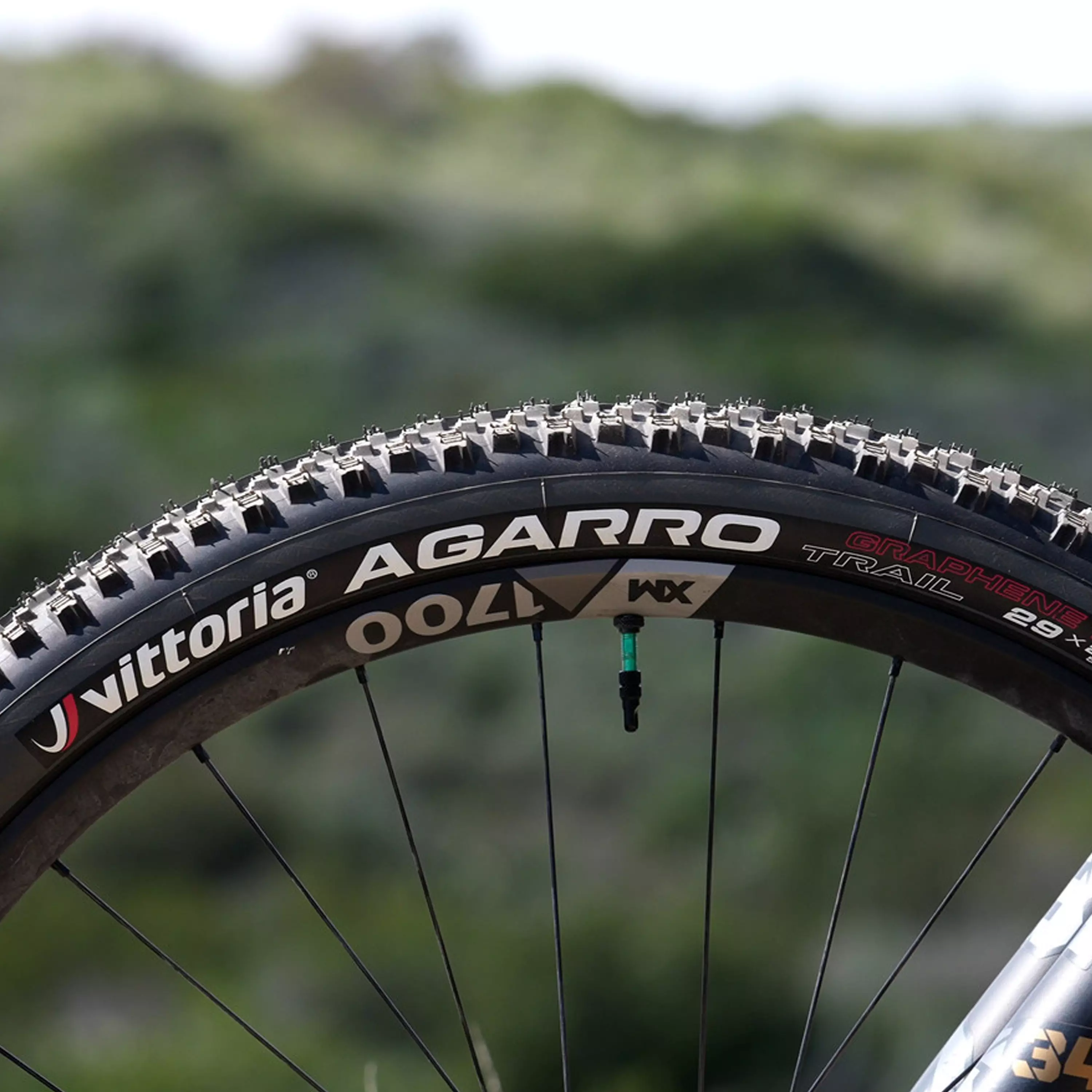 Agarro Trail - Image 3