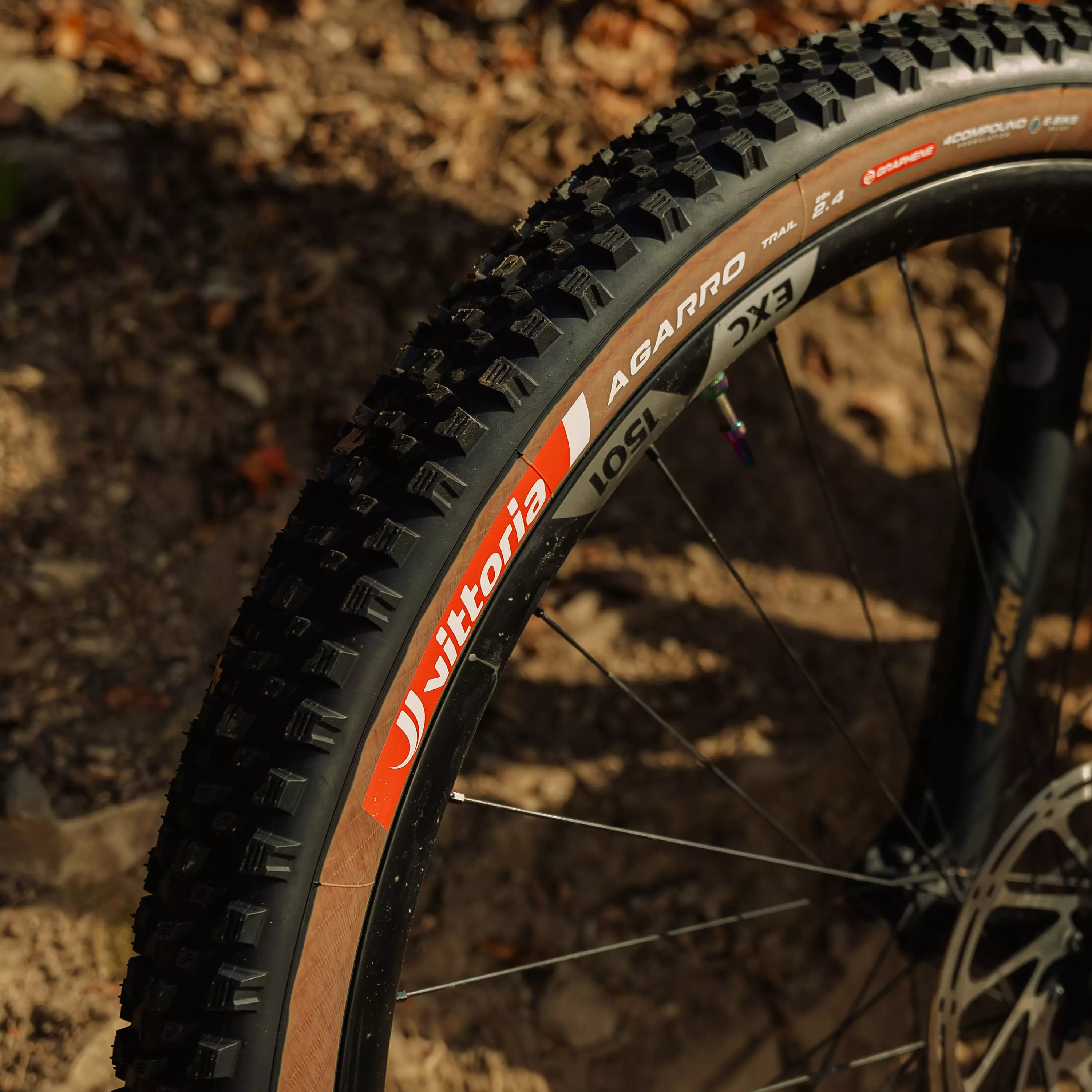 Agarro Trail - Image 4
