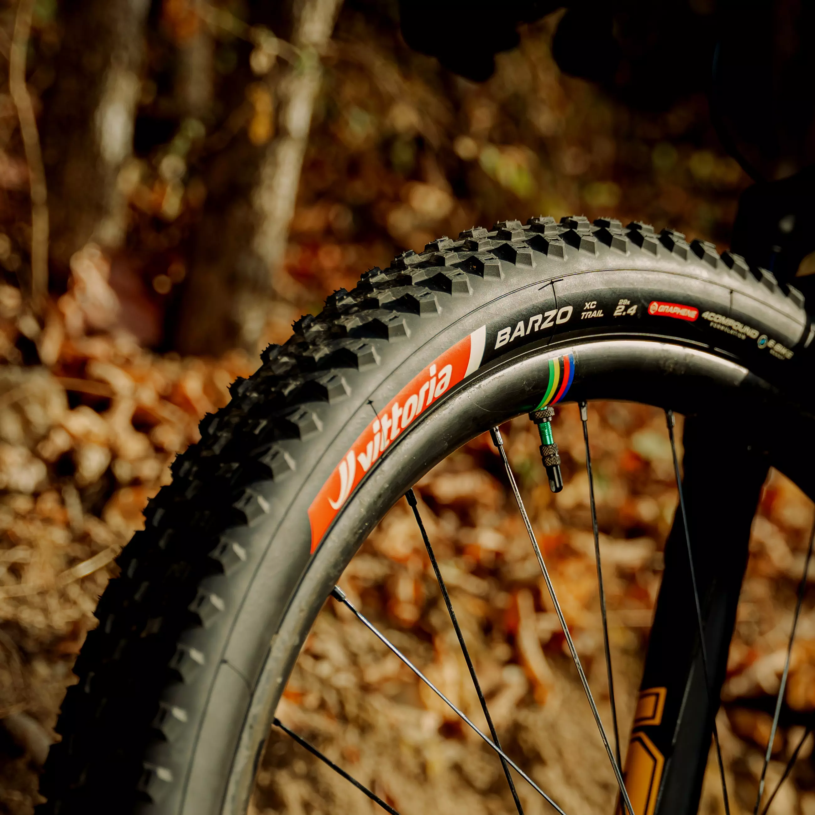 Barzo XC Trail - Image 4