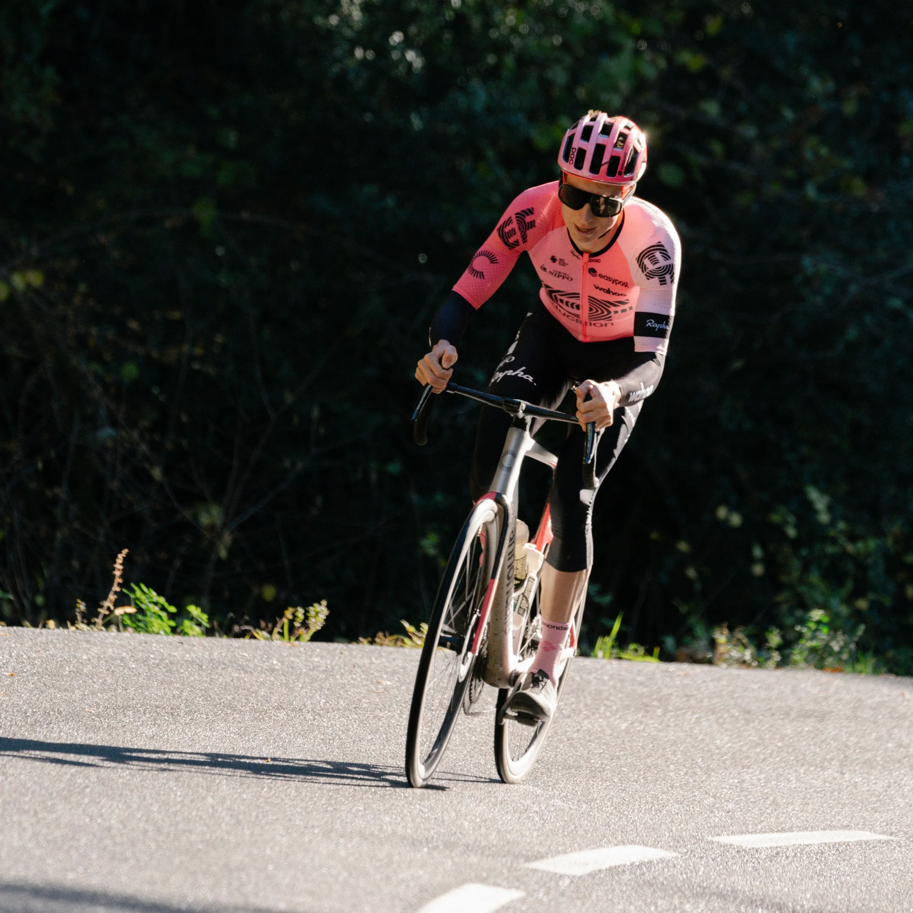 Corsa Speed Tubeless-Ready - Image 3