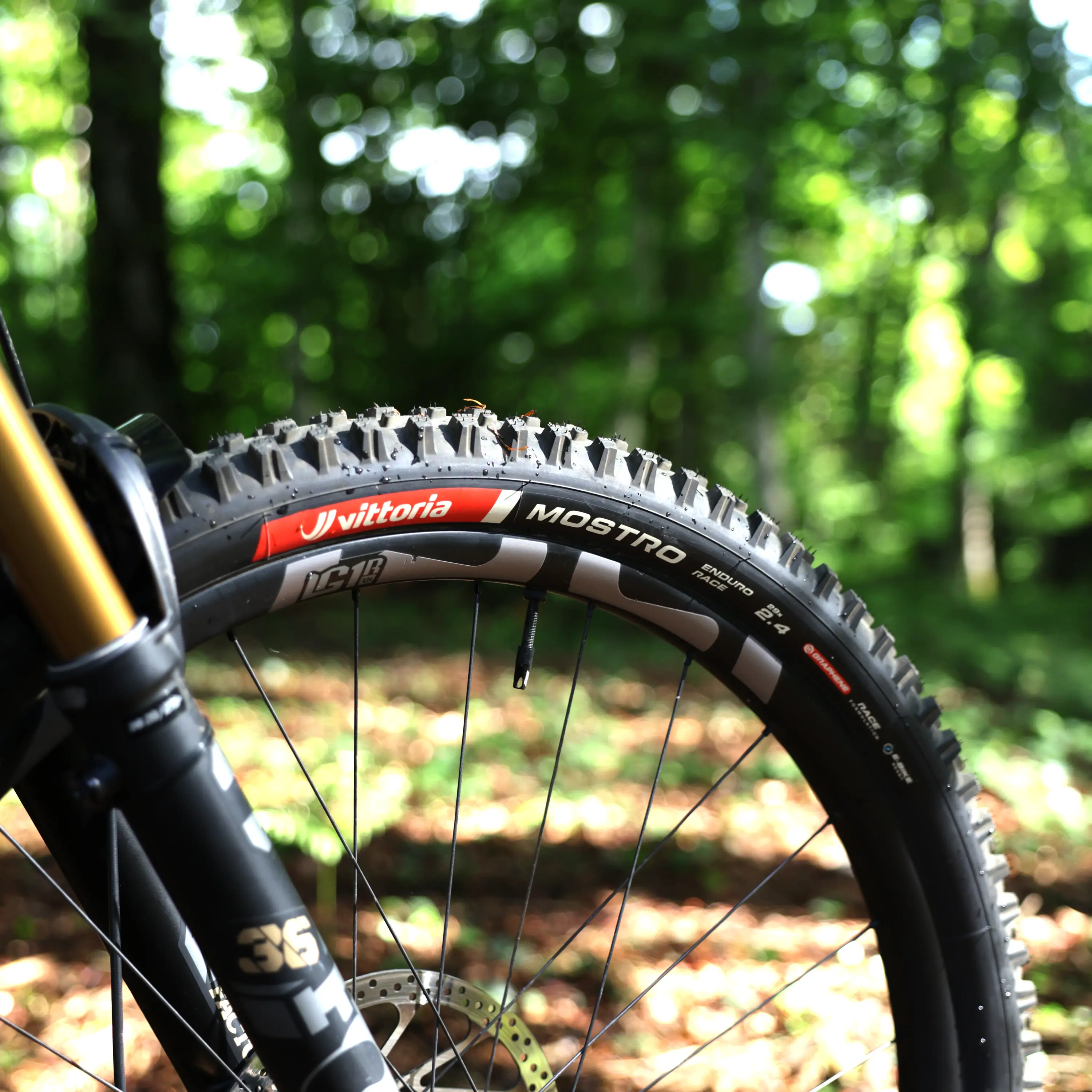 Mostro Enduro - Image 4