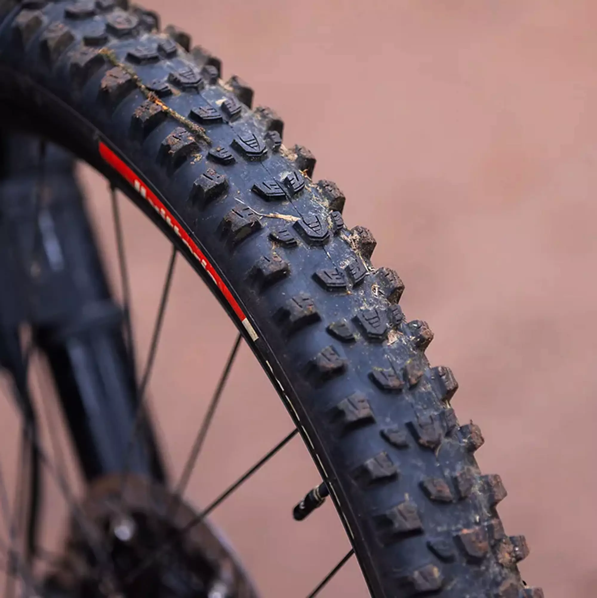 Mostro Enduro Race - Image 6