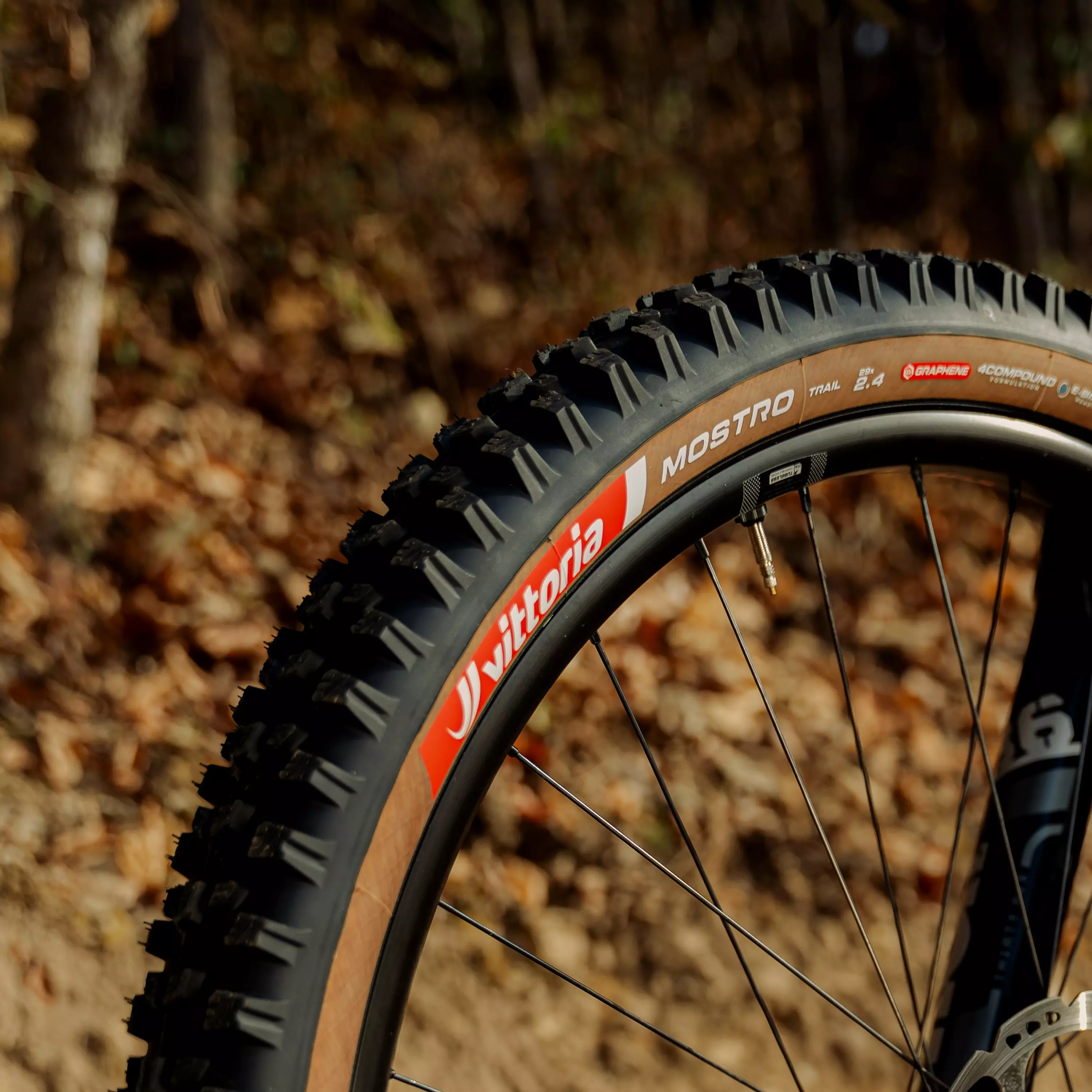 Mostro Trail - Image 4
