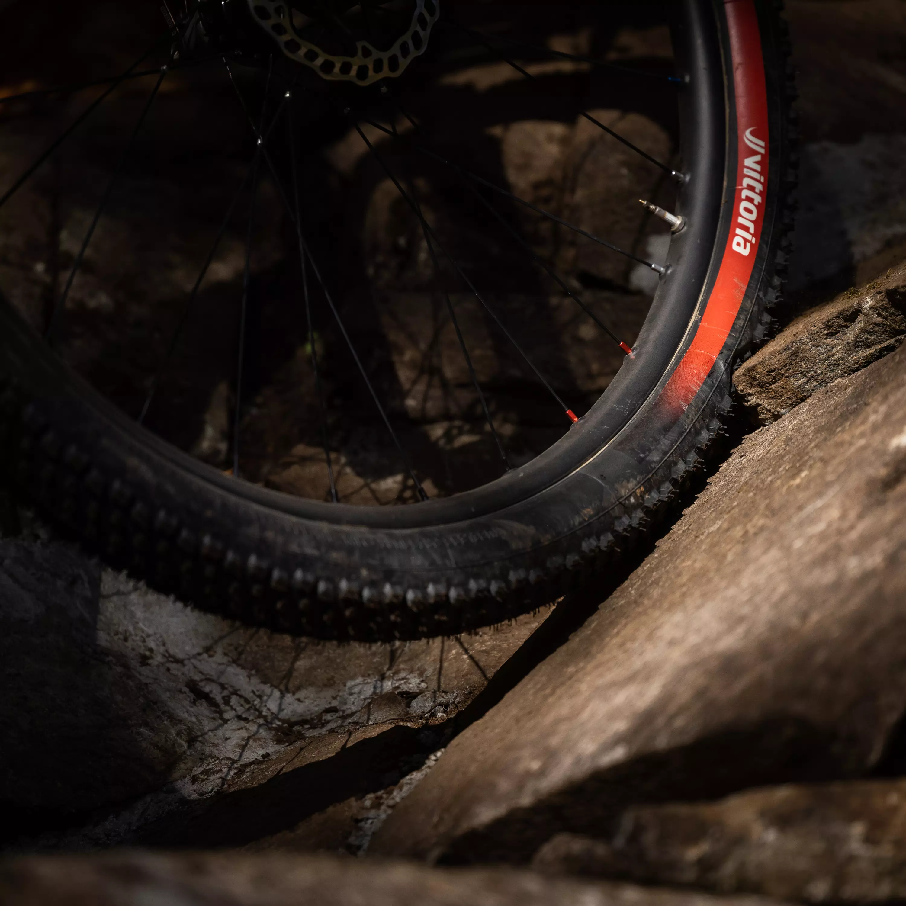 Mota Enduro Race - Image 3