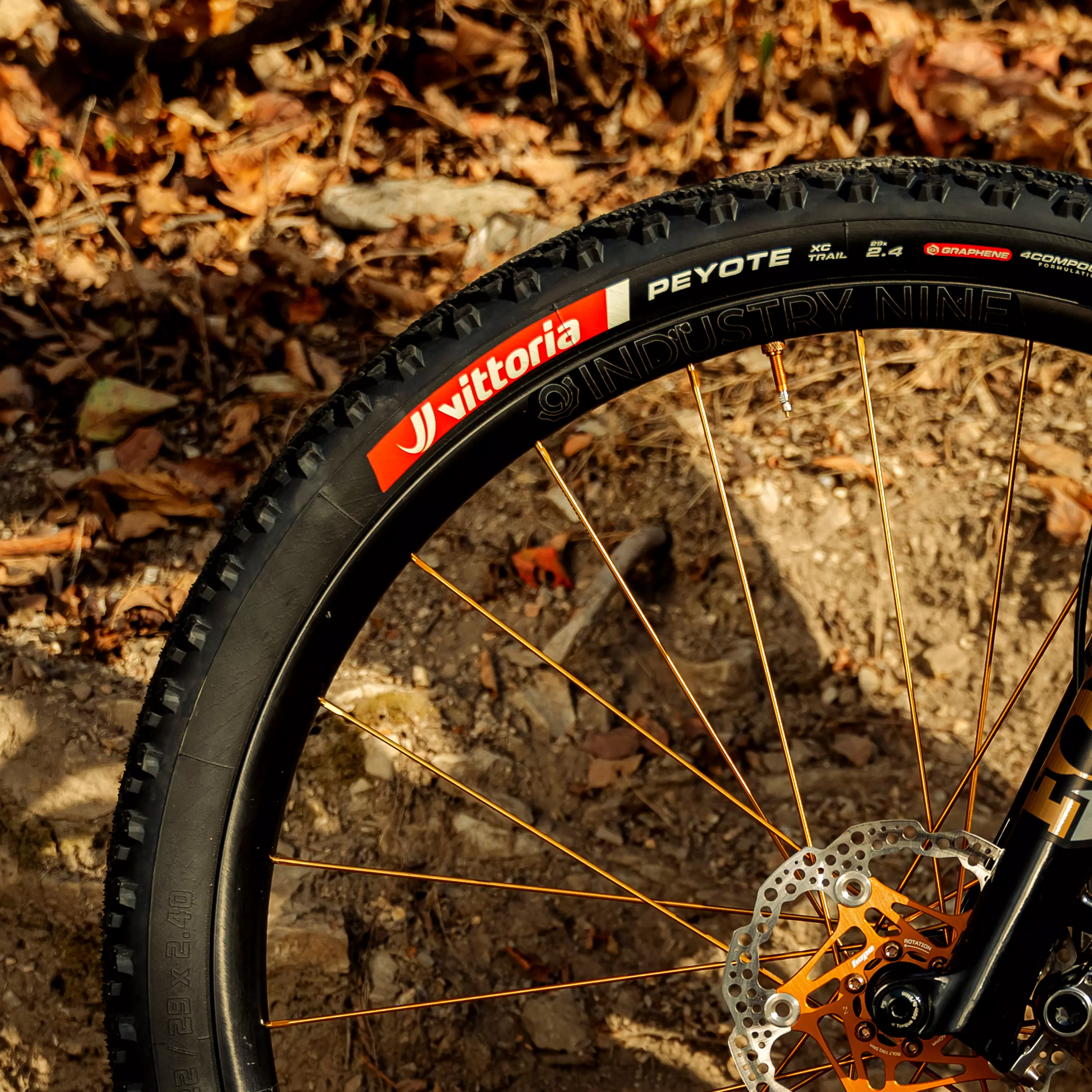 Peyote XC Trail - Image 4
