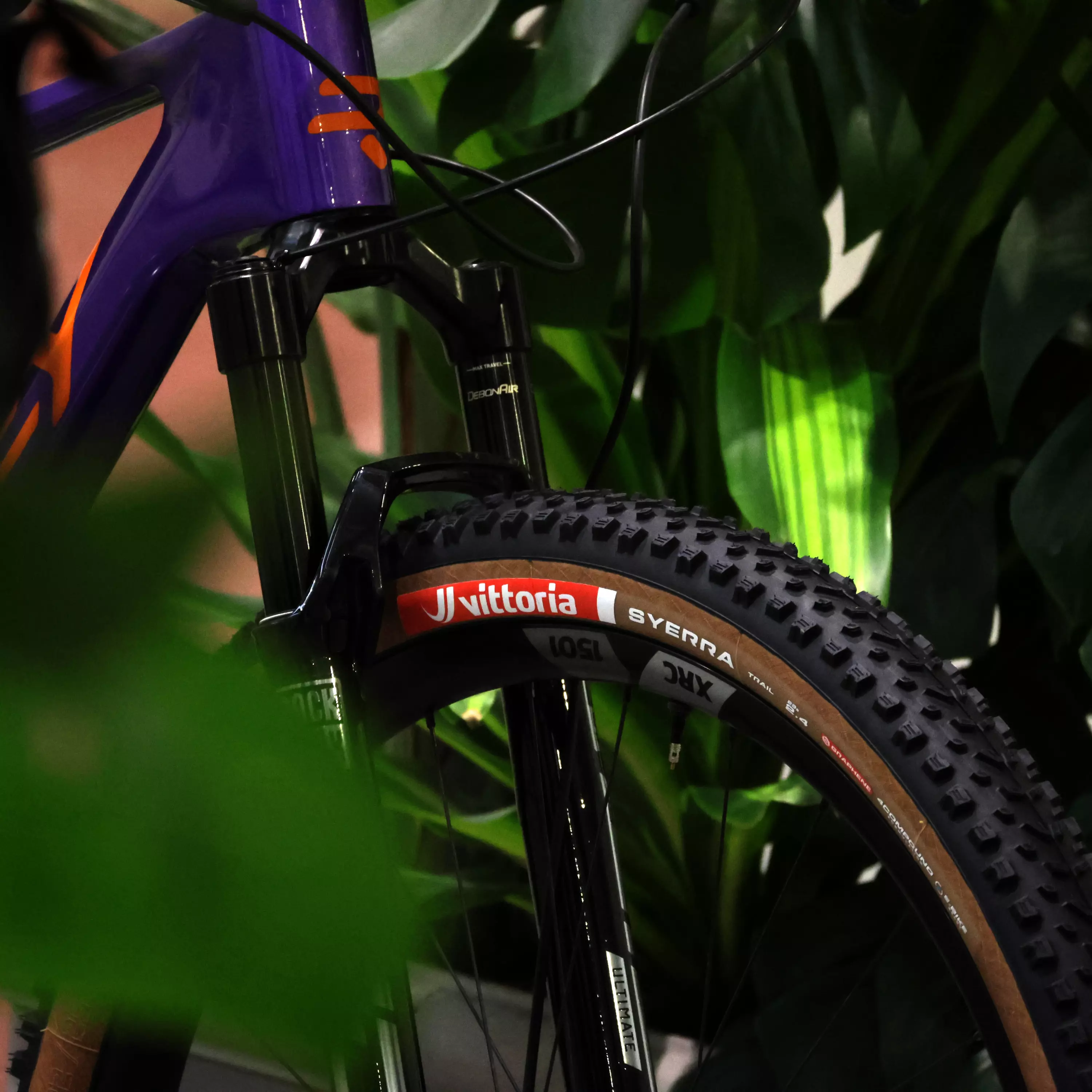 Syerra Trail - Image 4