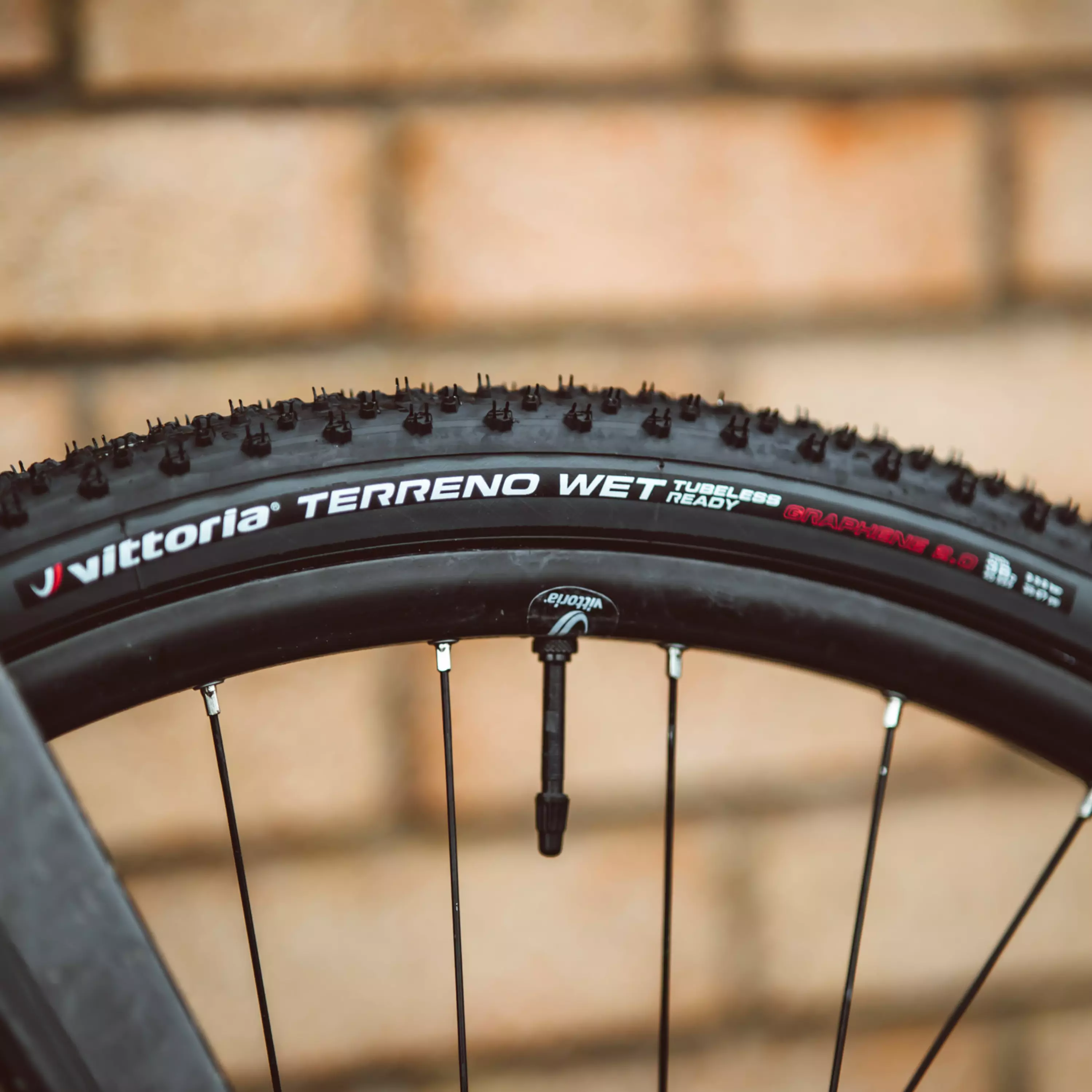 Terreno Wet Gravel Endurance - Image 3