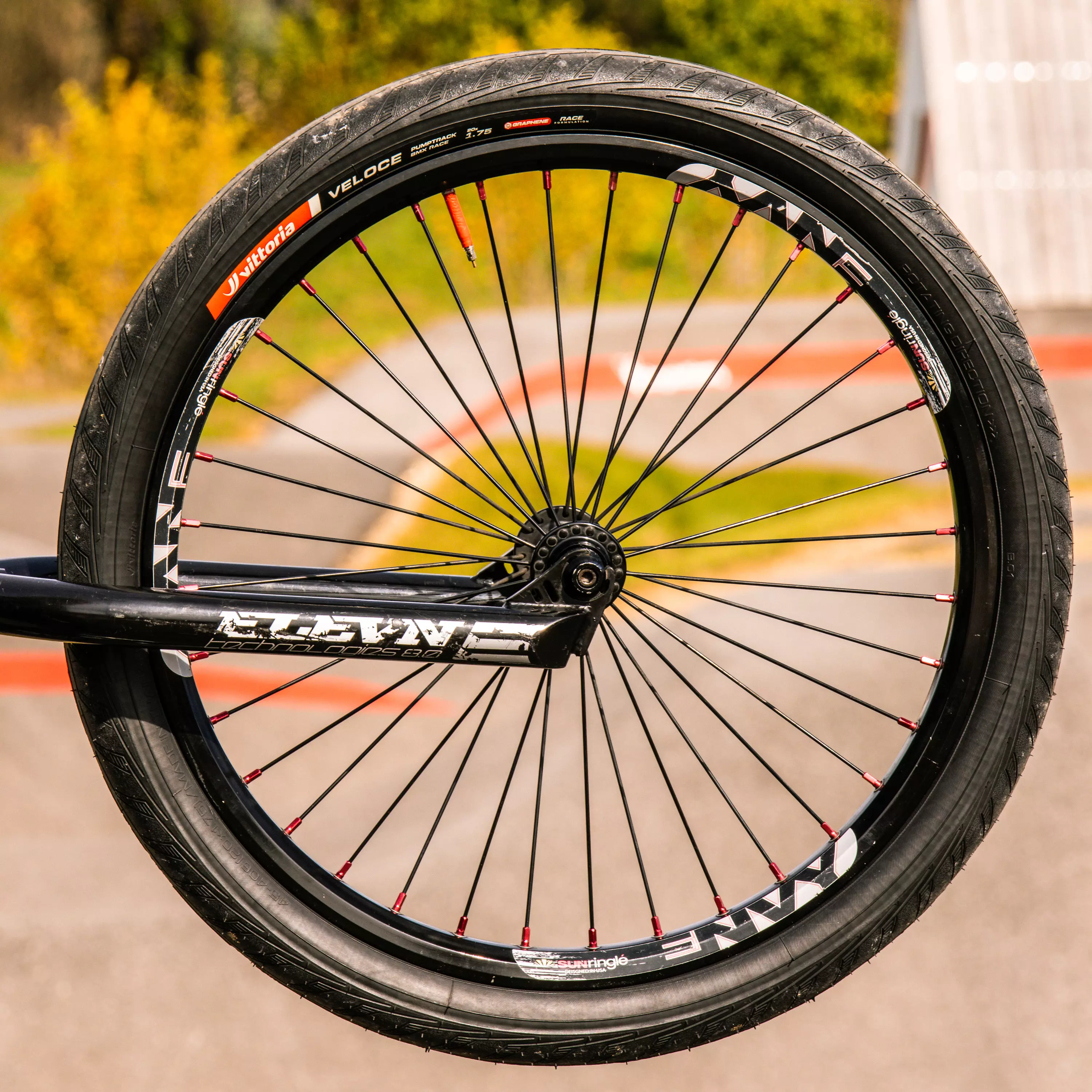 Veloce - Image 3